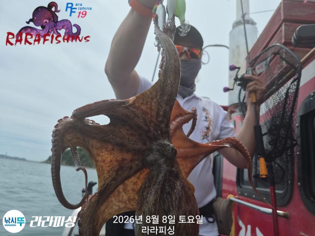 낚시뚜,돌문어,속천항(진해),라라피싱,낚시뚜14