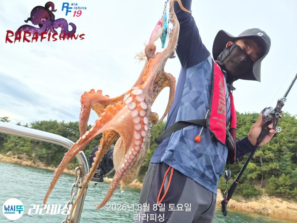 낚시뚜,돌문어,속천항(진해),라라피싱,낚시뚜2