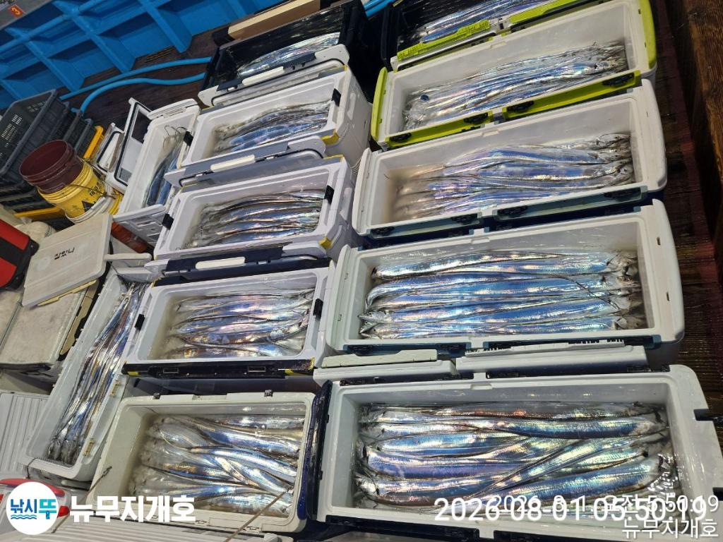 낚시뚜,갈치,통영영운리항,뉴무지개호,낚시뚜9