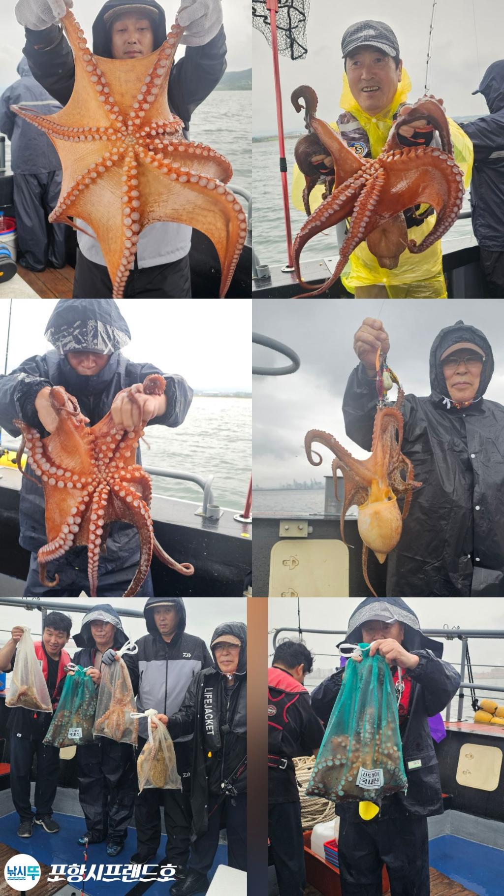 낚시뚜,돌문어,영일만항,포항시프랜드호,낚시뚜2