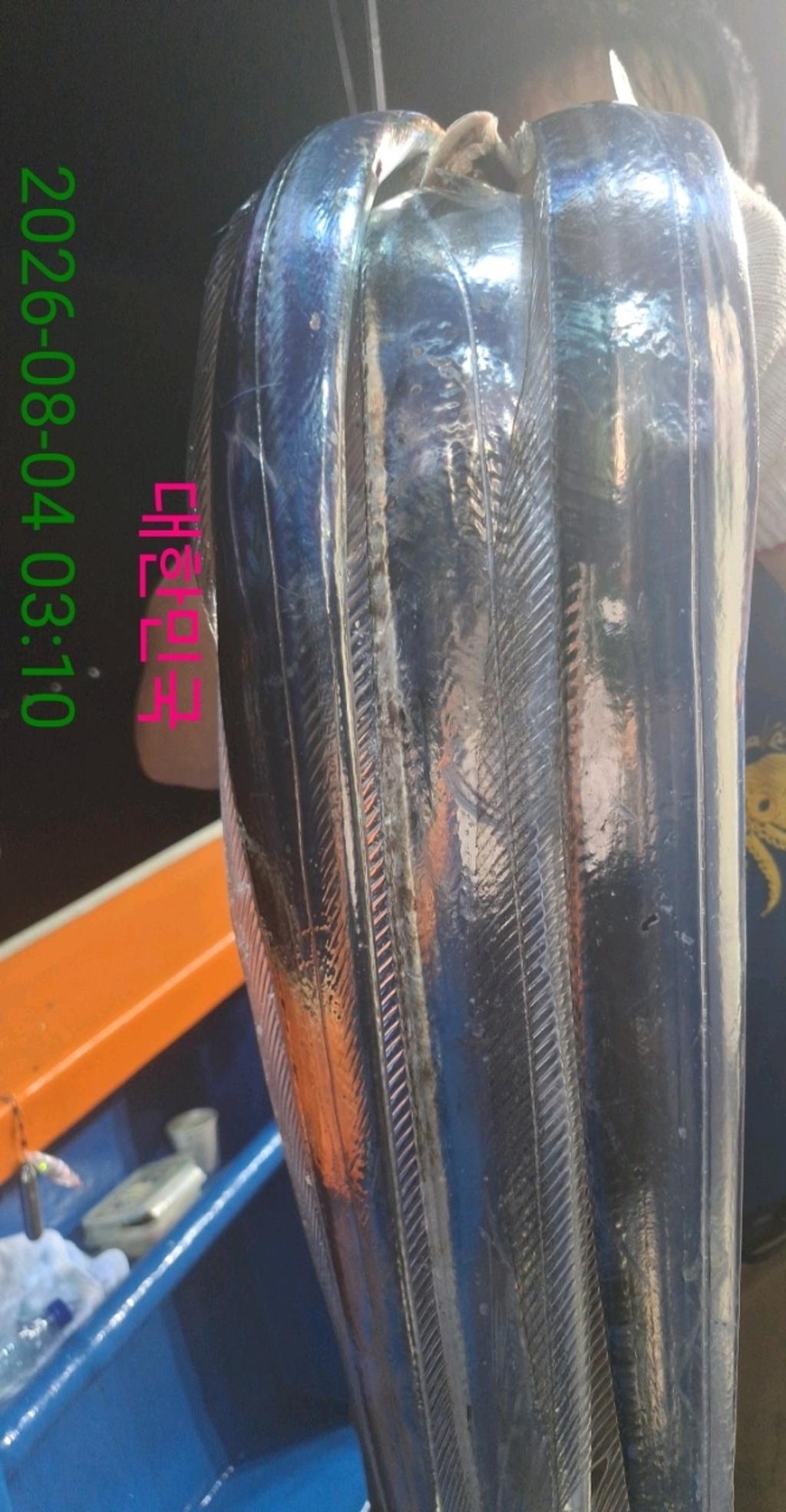 낚시뚜,갈치,삼포항,삼포대교낚시,낚시뚜4