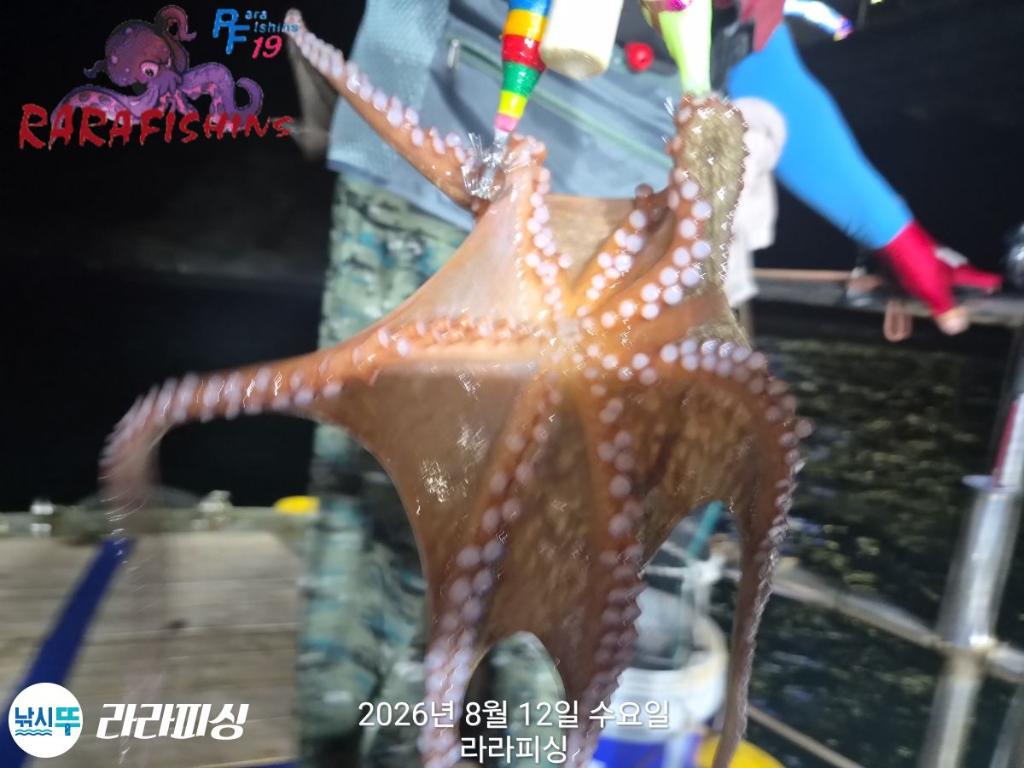 낚시뚜,돌문어,속천항(진해),라라피싱,낚시뚜5