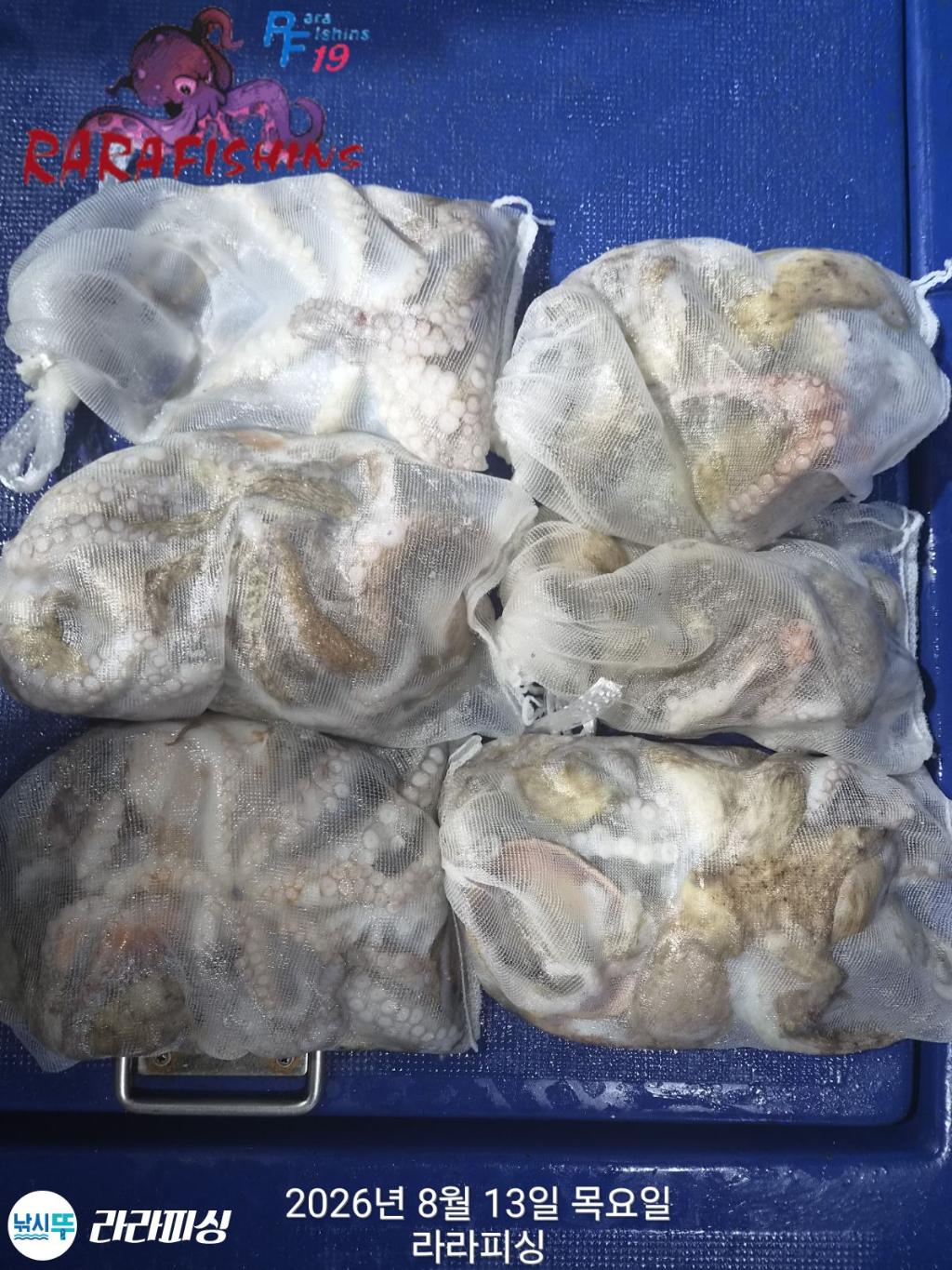 낚시뚜,돌문어,속천항(진해),라라피싱,낚시뚜0