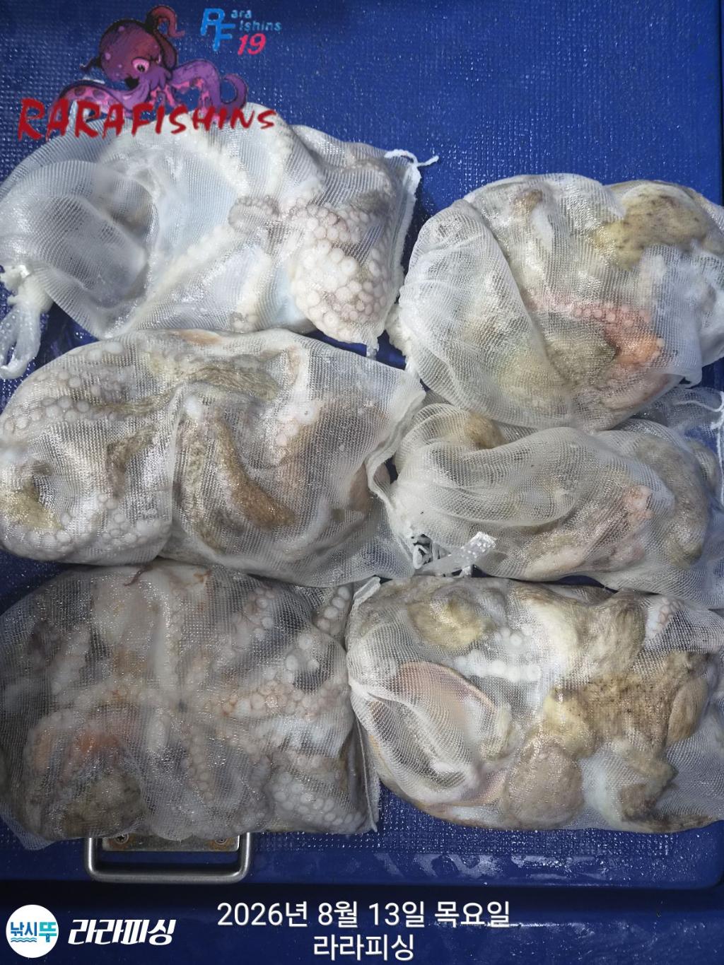 낚시뚜,돌문어,속천항(진해),라라피싱,낚시뚜1