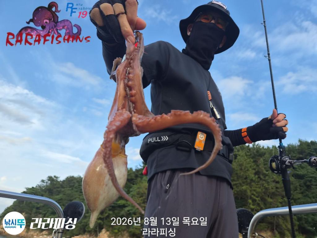 낚시뚜,돌문어,속천항(진해),라라피싱,낚시뚜5