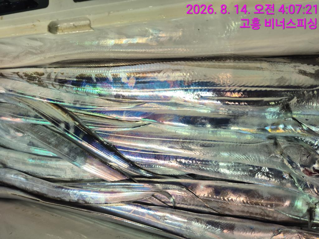 낚시뚜,,녹동항,비너스피싱,낚시뚜9