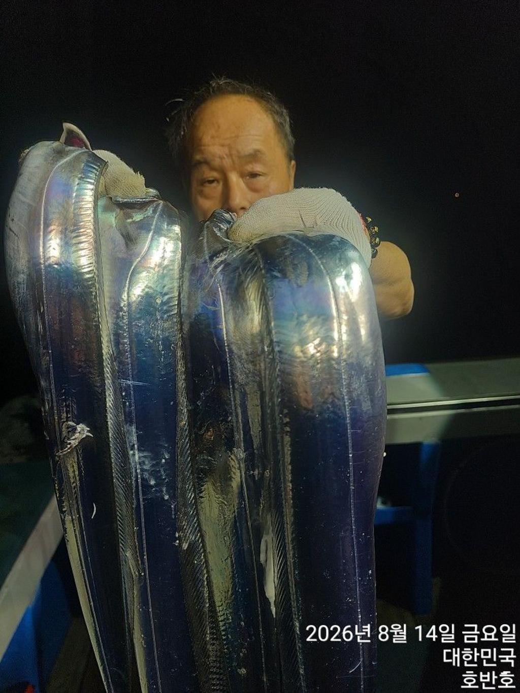 낚시뚜,갈치,통영 신전항,통영호반호,낚시뚜5