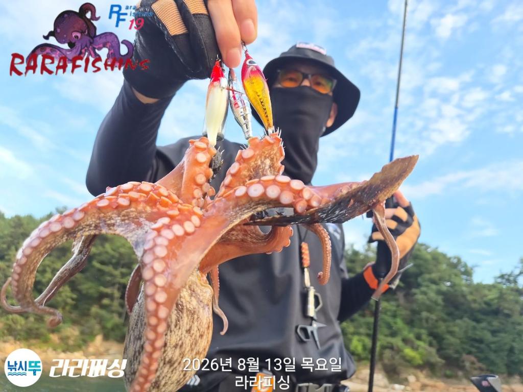 낚시뚜,돌문어,속천항(진해),라라피싱,낚시뚜4