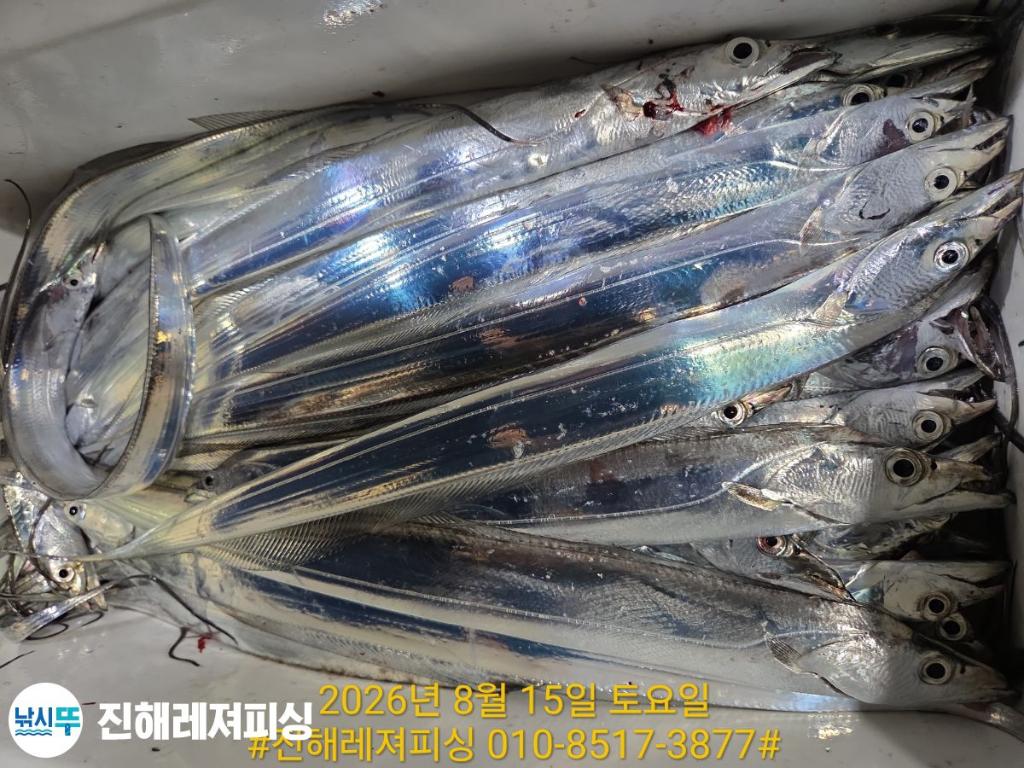 낚시뚜,갈치,진해1부두항,진해레져피싱,낚시뚜23