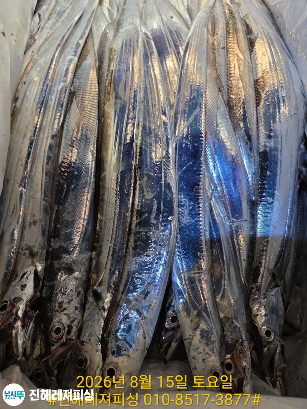 낚시뚜,갈치,진해1부두항,진해레져피싱,낚시뚜20