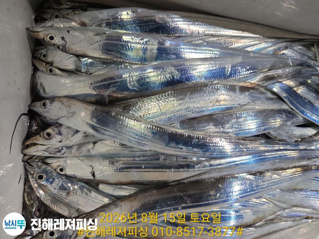 낚시뚜,갈치,진해1부두항,진해레져피싱,낚시뚜16