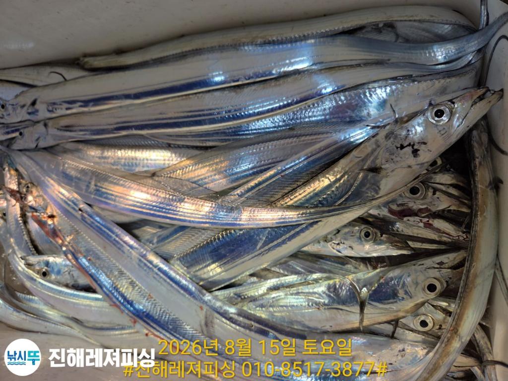 낚시뚜,갈치,진해1부두항,진해레져피싱,낚시뚜12