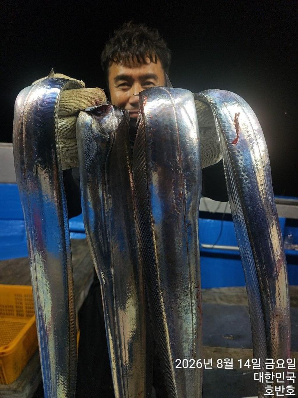 낚시뚜,갈치,통영 신전항,통영호반호,낚시뚜3