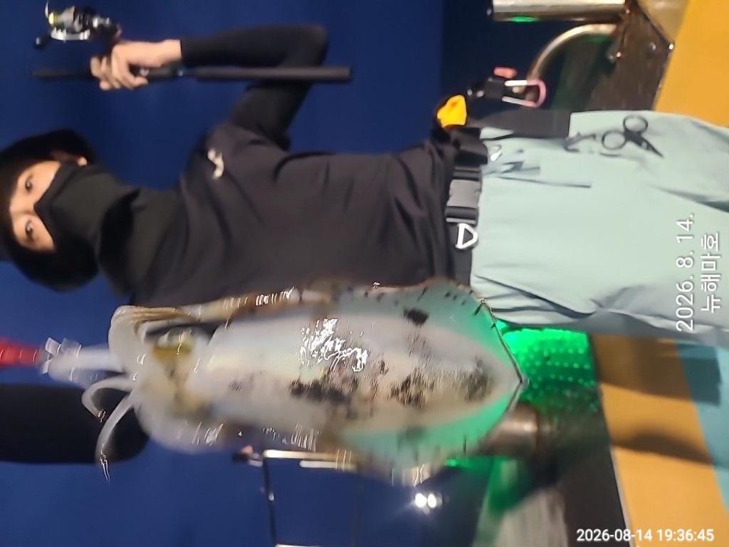 낚시뚜,무늬오징어,영일만항,뉴해마호,낚시뚜2