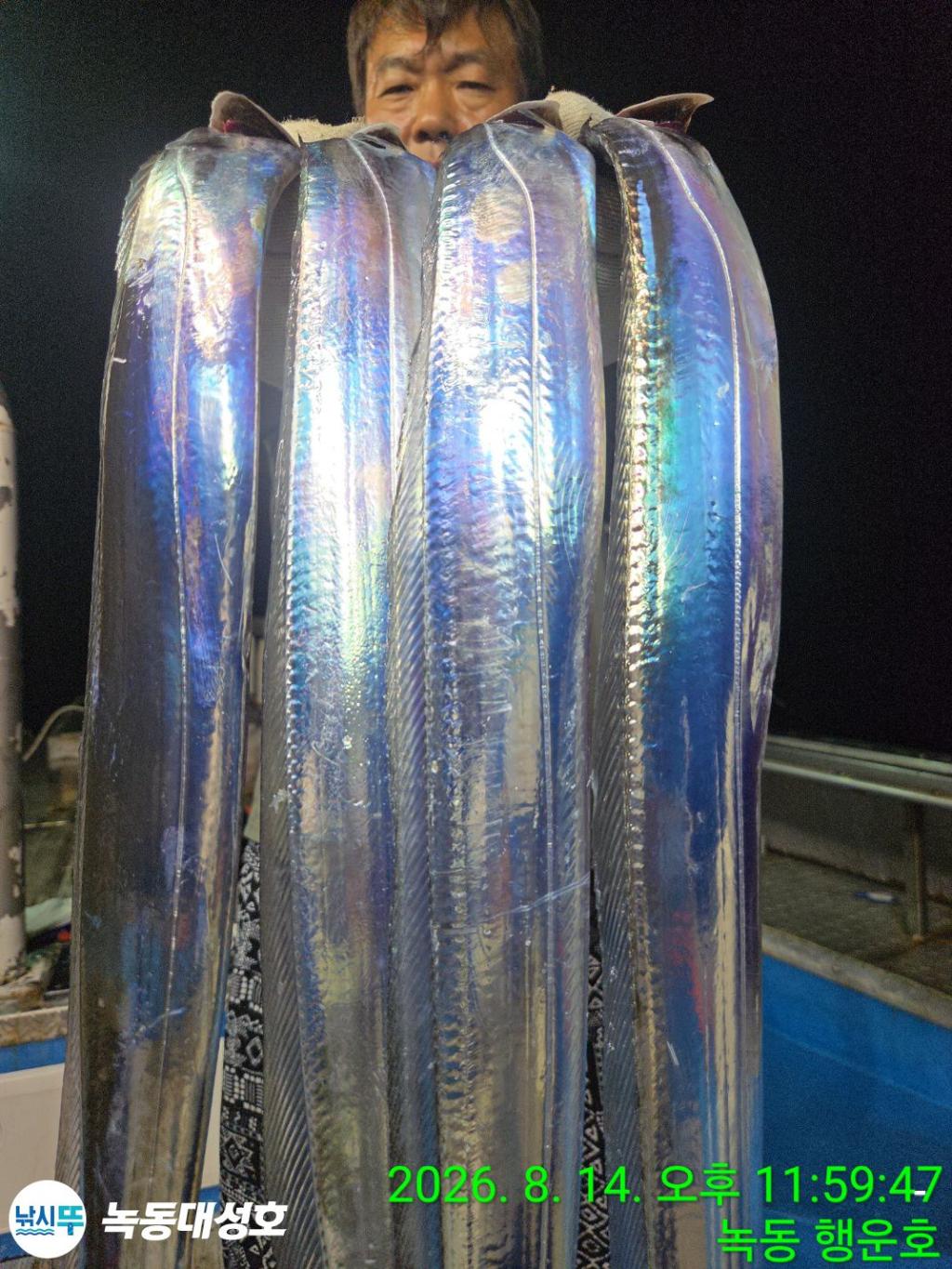 낚시뚜,갈치,녹동항,녹동대성호,낚시뚜8