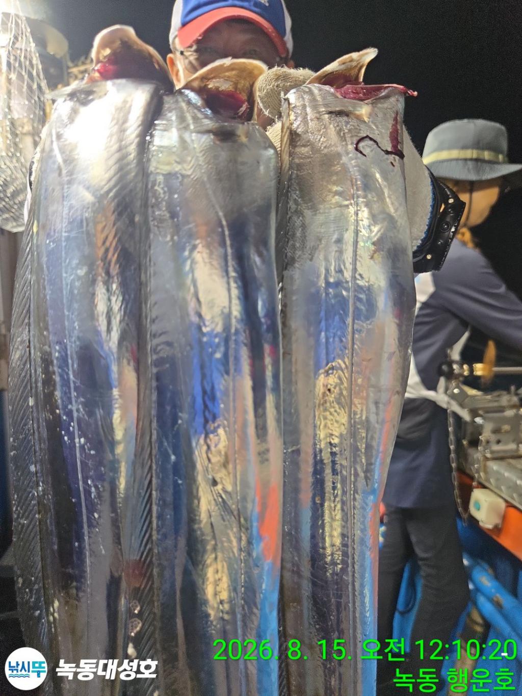 낚시뚜,갈치,녹동항,녹동대성호,낚시뚜6