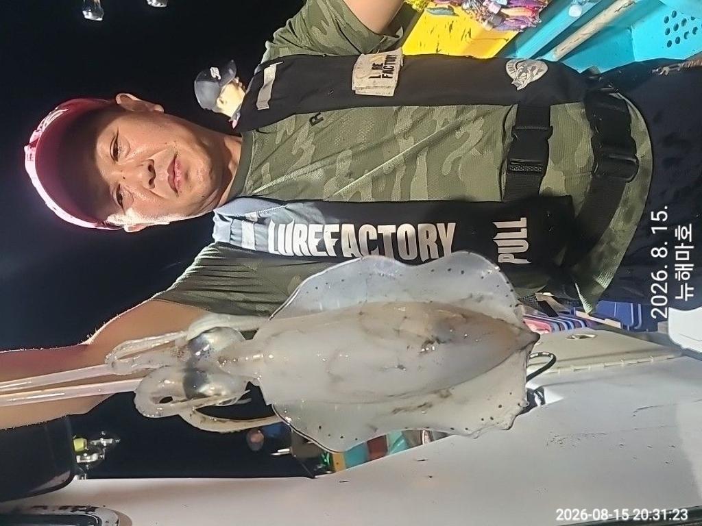 낚시뚜,무늬오징어,영일만항,뉴해마호,낚시뚜15