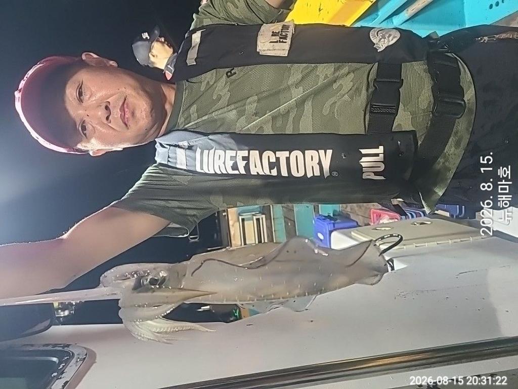 낚시뚜,무늬오징어,영일만항,뉴해마호,낚시뚜14