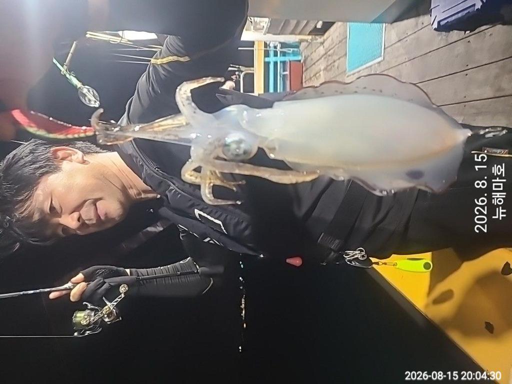 낚시뚜,무늬오징어,영일만항,뉴해마호,낚시뚜8