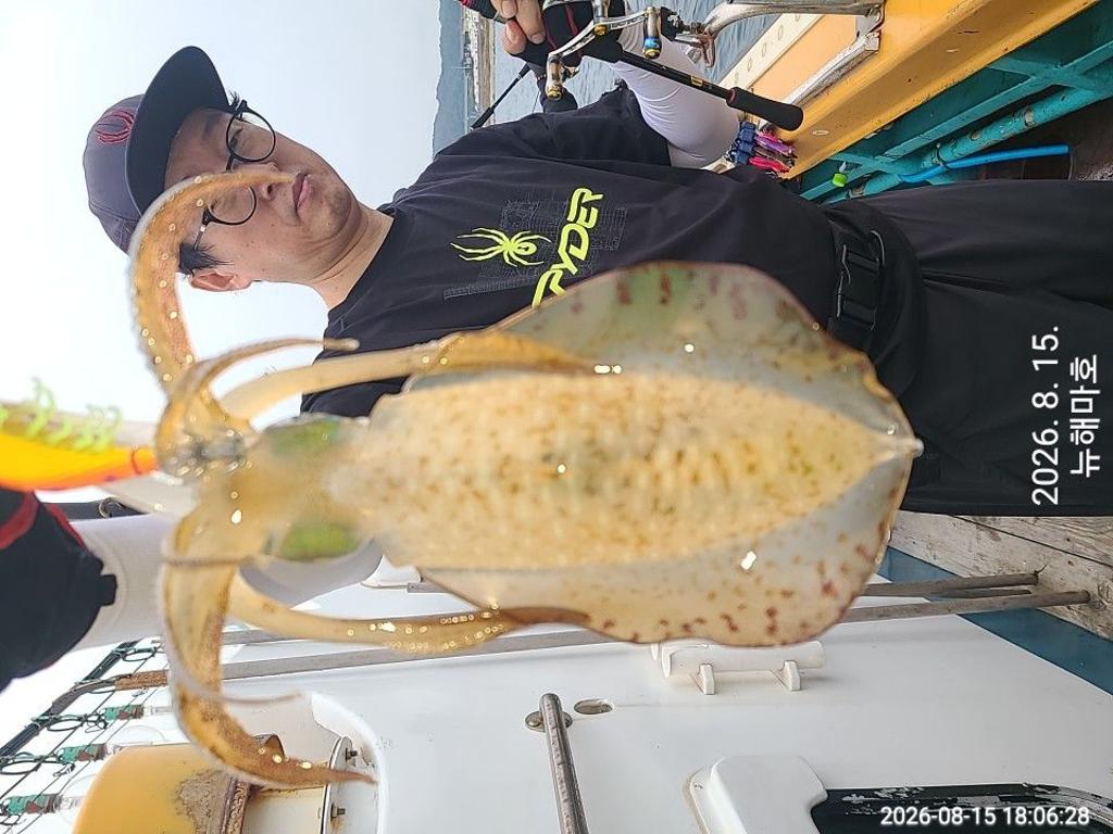 낚시뚜,무늬오징어,영일만항,뉴해마호,낚시뚜4