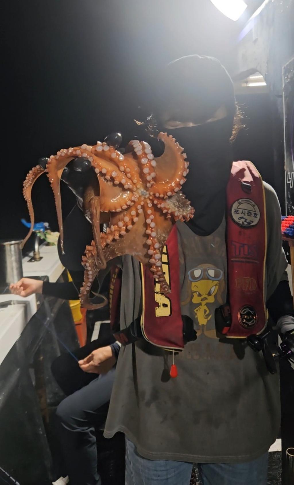 낚시뚜,돌문어,포항여남항,포항포시즌호,낚시뚜0