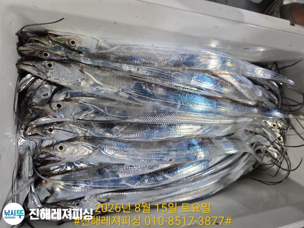 낚시뚜,갈치,진해1부두항,진해레져피싱,낚시뚜28