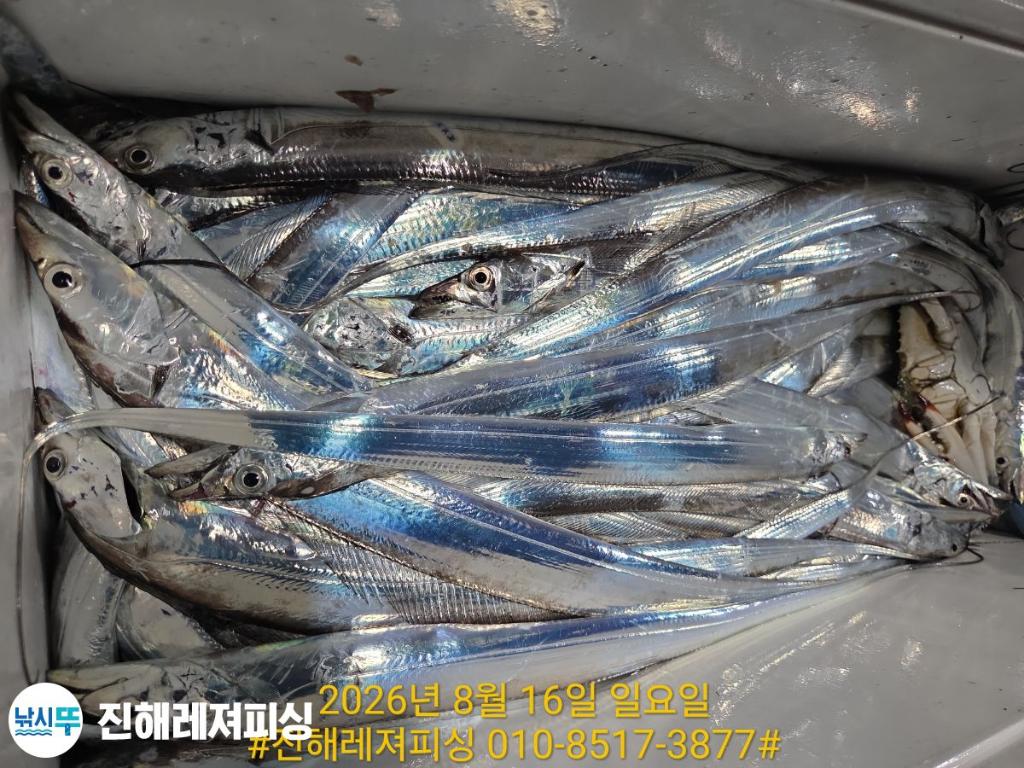 낚시뚜,갈치,진해1부두항,진해레져피싱,낚시뚜23