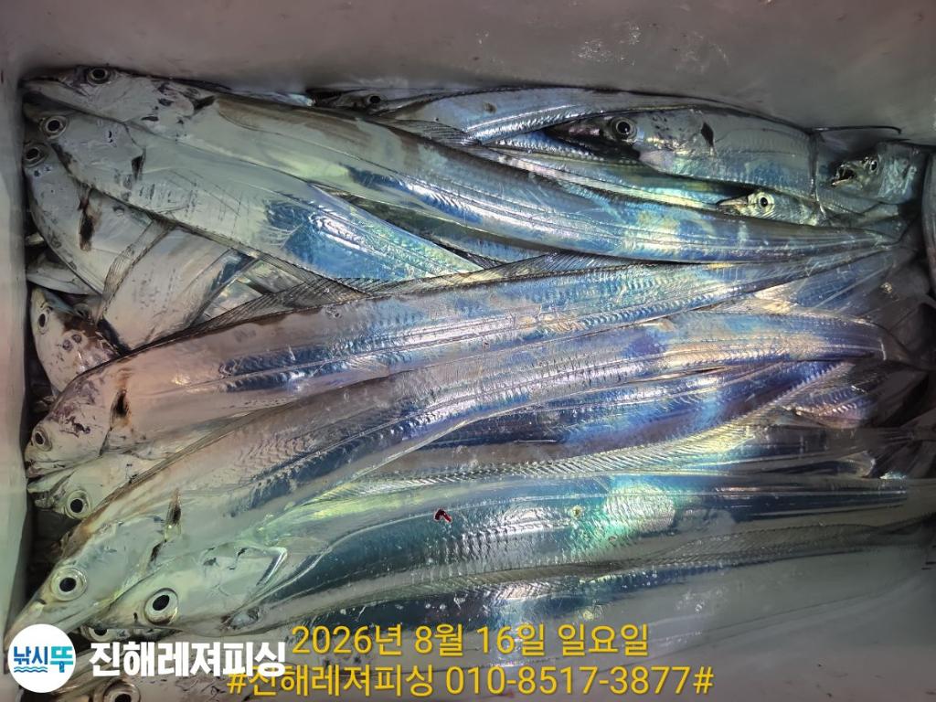 낚시뚜,갈치,진해1부두항,진해레져피싱,낚시뚜17