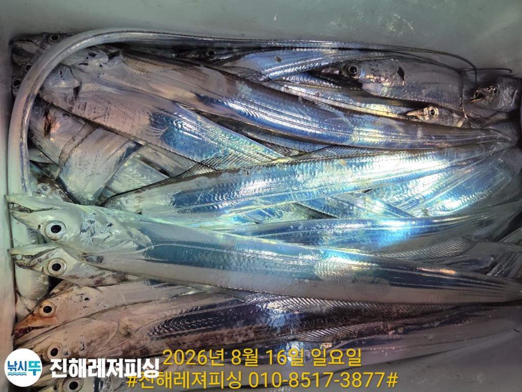 낚시뚜,갈치,진해1부두항,진해레져피싱,낚시뚜16