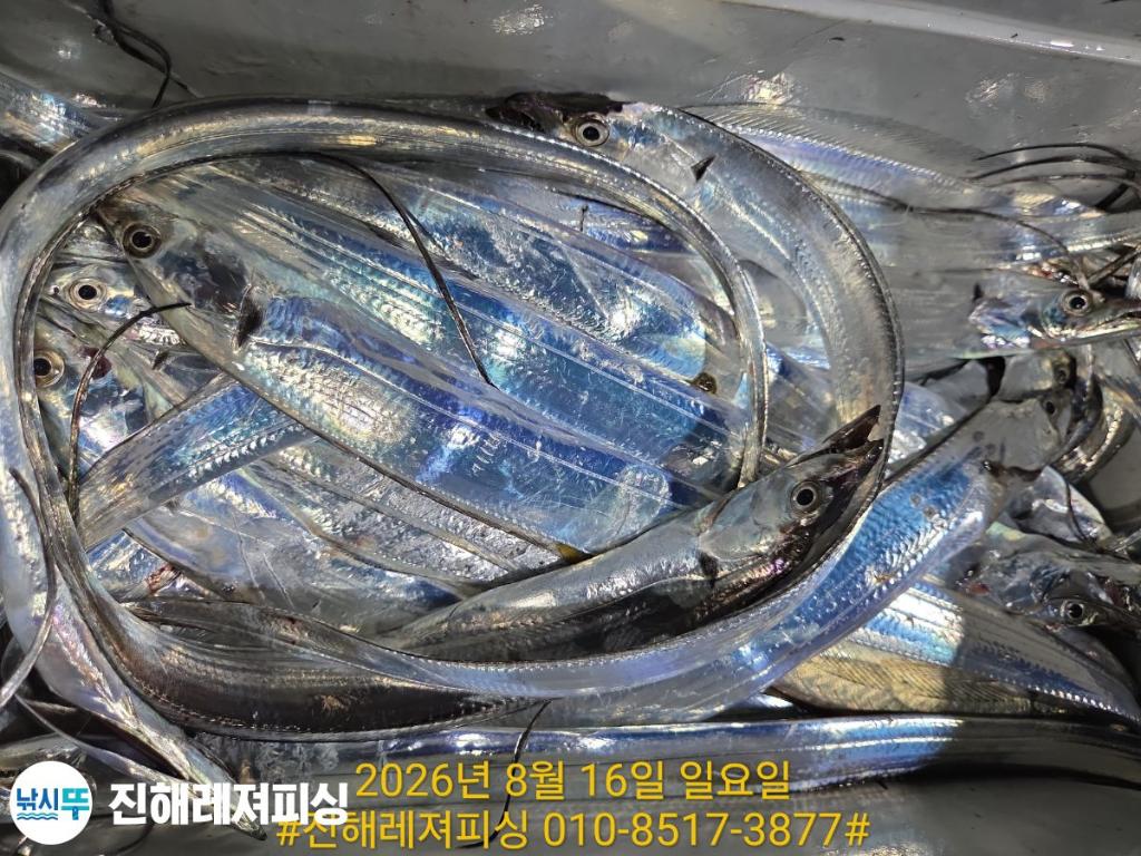 낚시뚜,갈치,진해1부두항,진해레져피싱,낚시뚜15