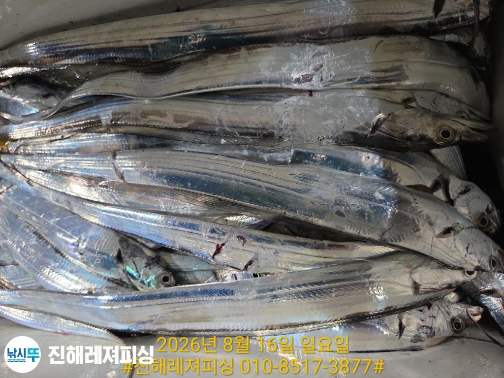 낚시뚜,갈치,진해1부두항,진해레져피싱,낚시뚜12