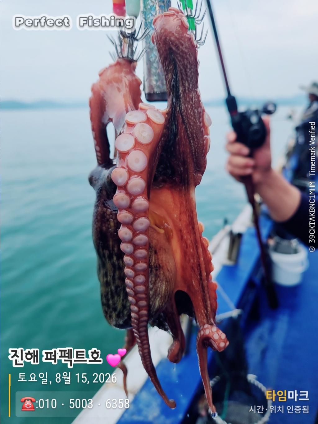 낚시뚜,문어,진해 수치마을 방파제,퍼펙트호,낚시뚜0