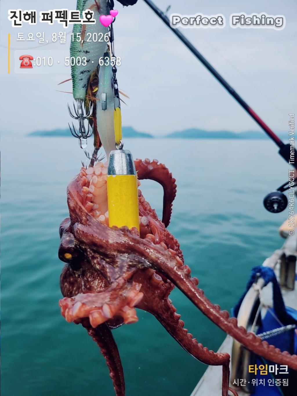낚시뚜,문어,진해 수치마을 방파제,퍼펙트호,낚시뚜2