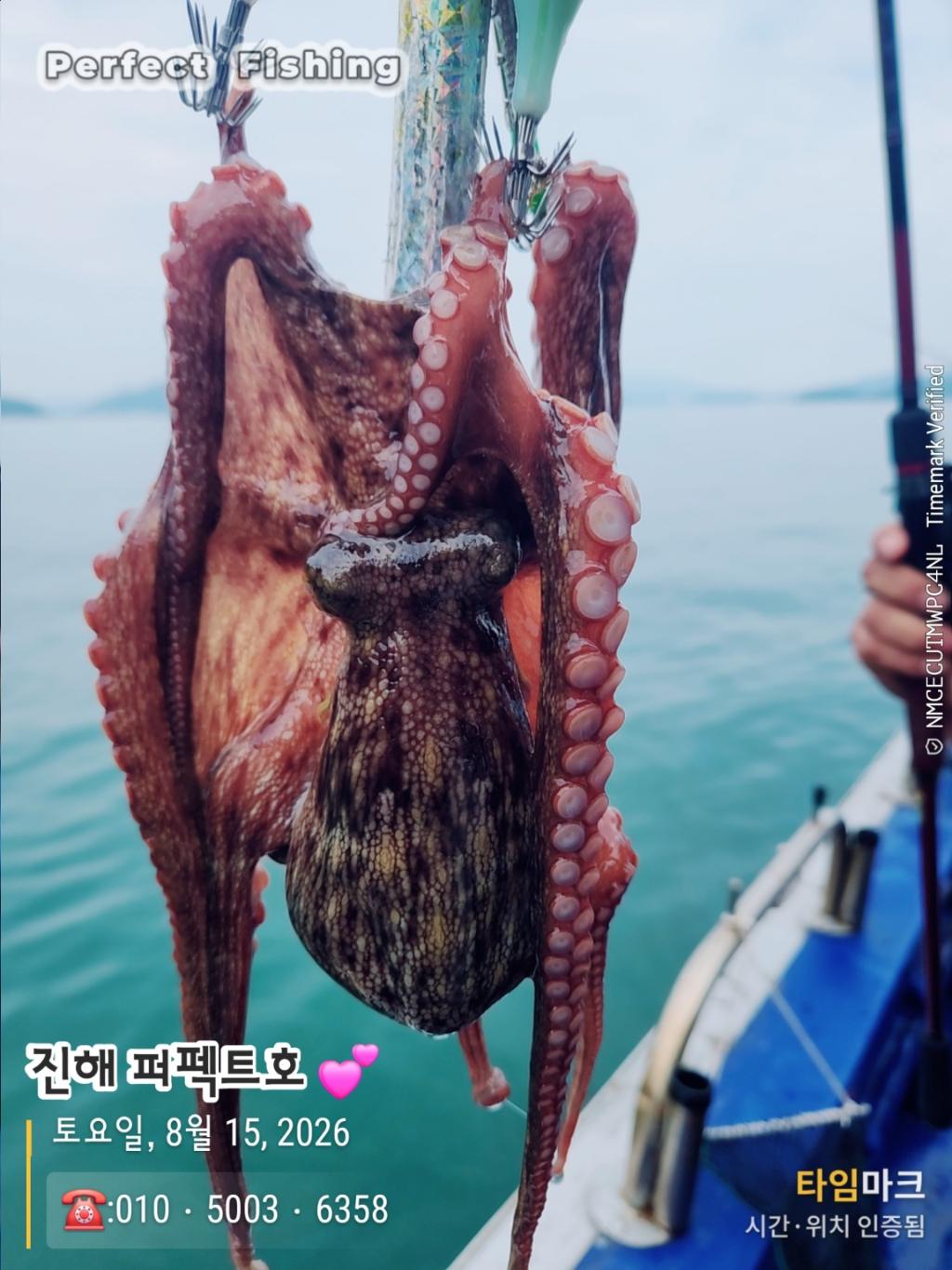 낚시뚜,문어,진해 수치마을 방파제,퍼펙트호,낚시뚜3
