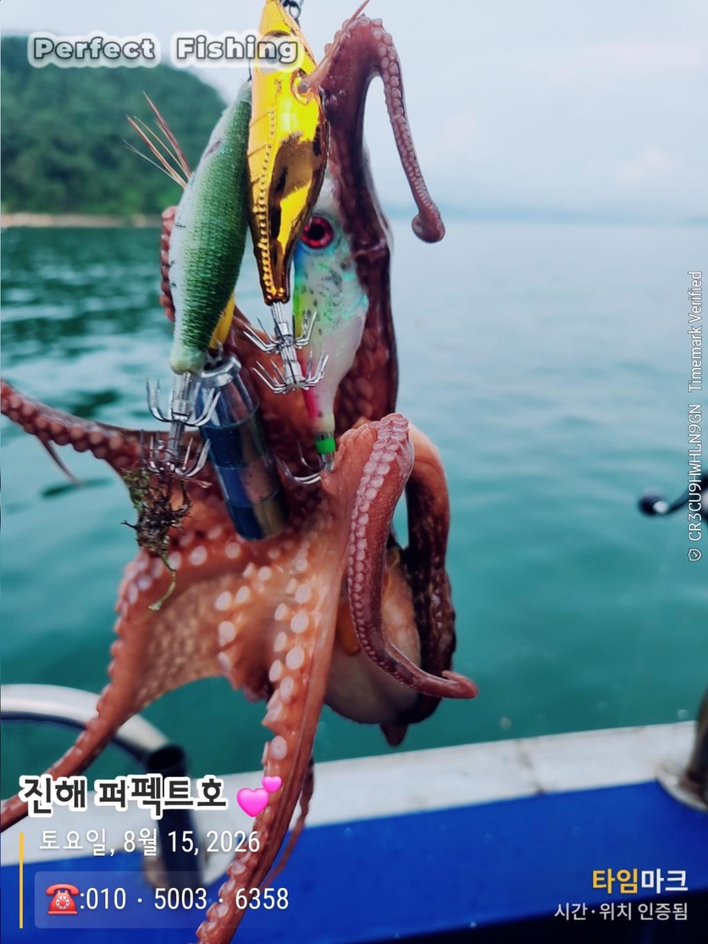 낚시뚜,문어,진해 수치마을 방파제,퍼펙트호,낚시뚜5