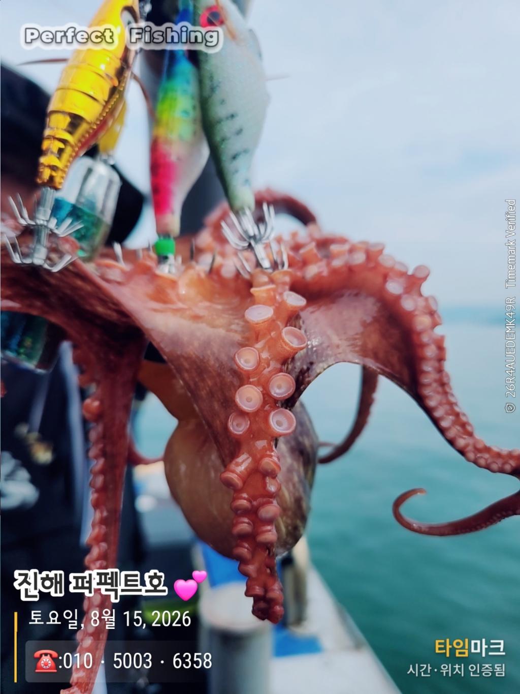 낚시뚜,문어,진해 수치마을 방파제,퍼펙트호,낚시뚜6