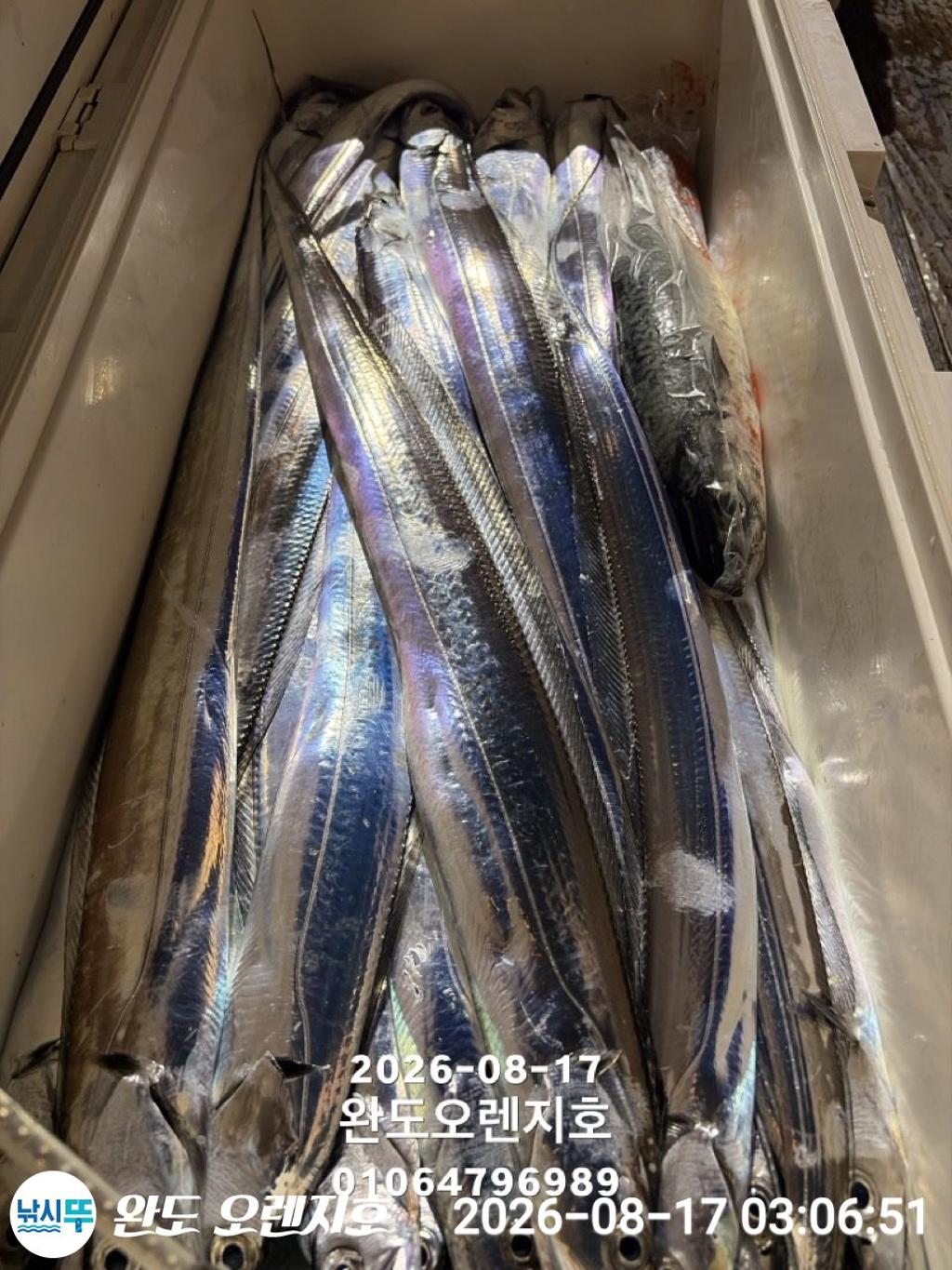 낚시뚜,갈치,완도항,완도 오렌지호,낚시뚜30