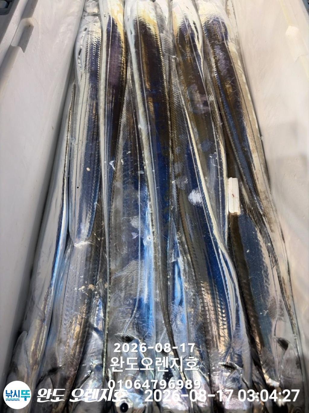 낚시뚜,갈치,완도항,완도 오렌지호,낚시뚜21