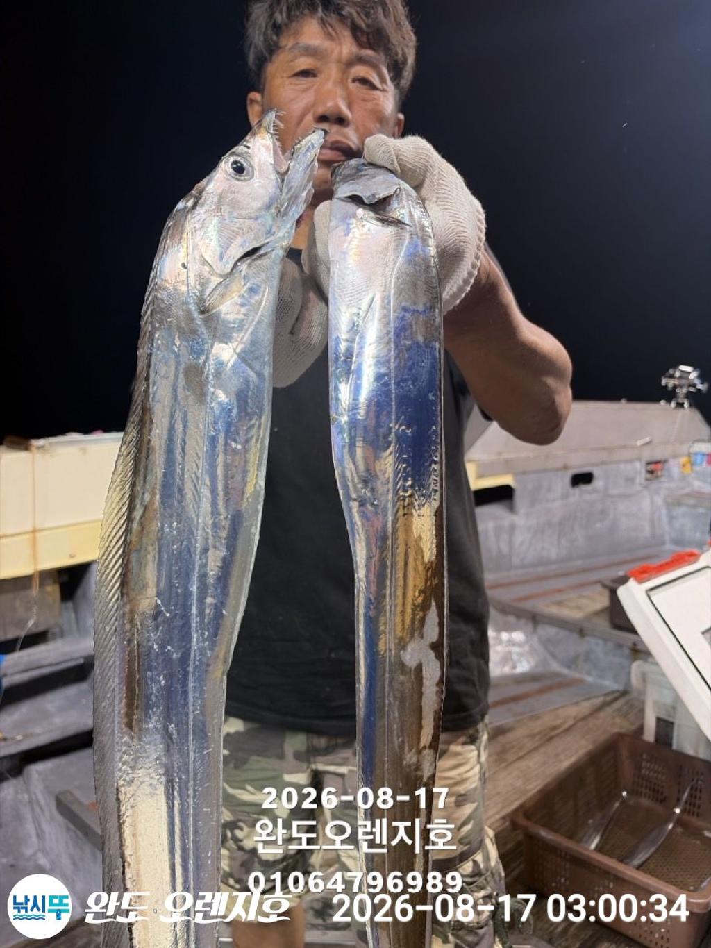낚시뚜,갈치,완도항,완도 오렌지호,낚시뚜4
