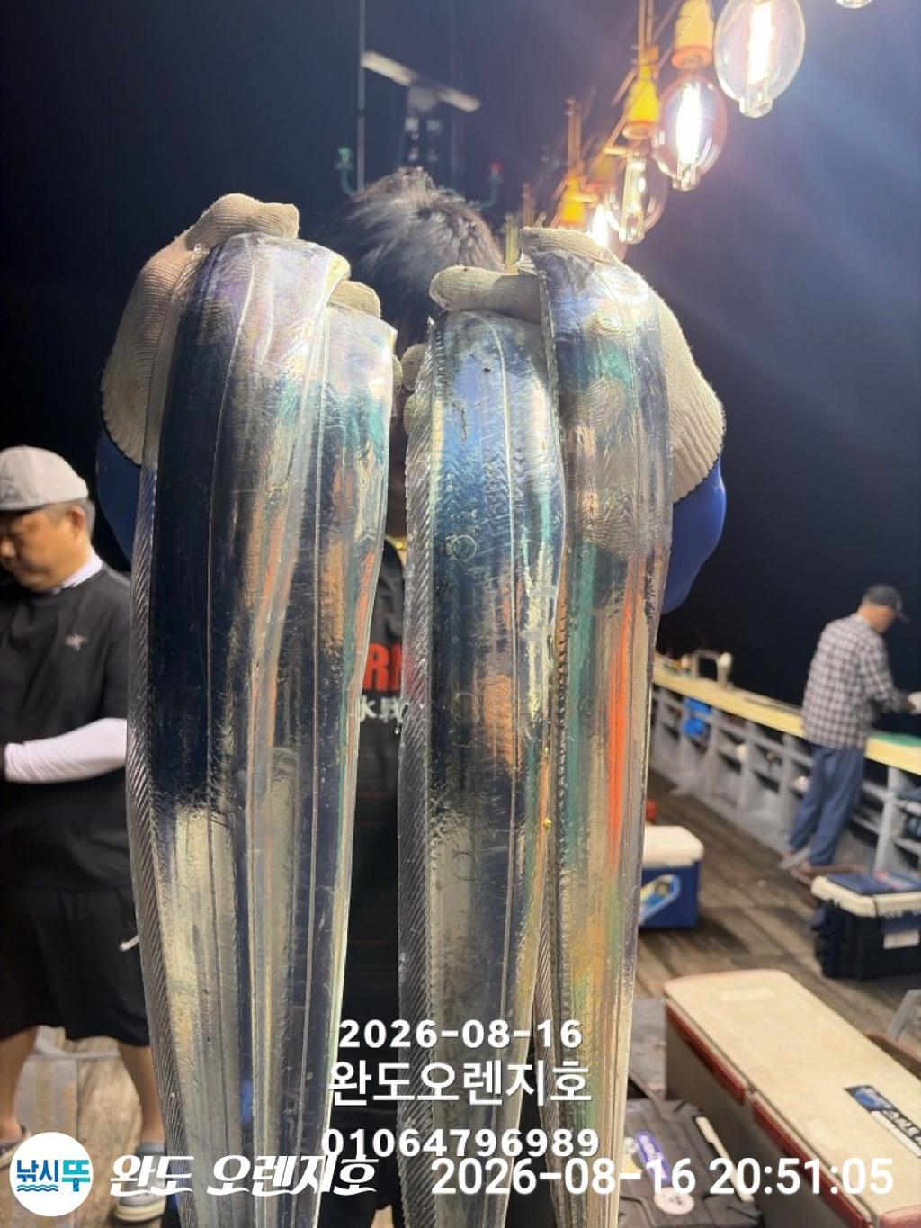 낚시뚜,갈치,완도항,완도 오렌지호,낚시뚜1