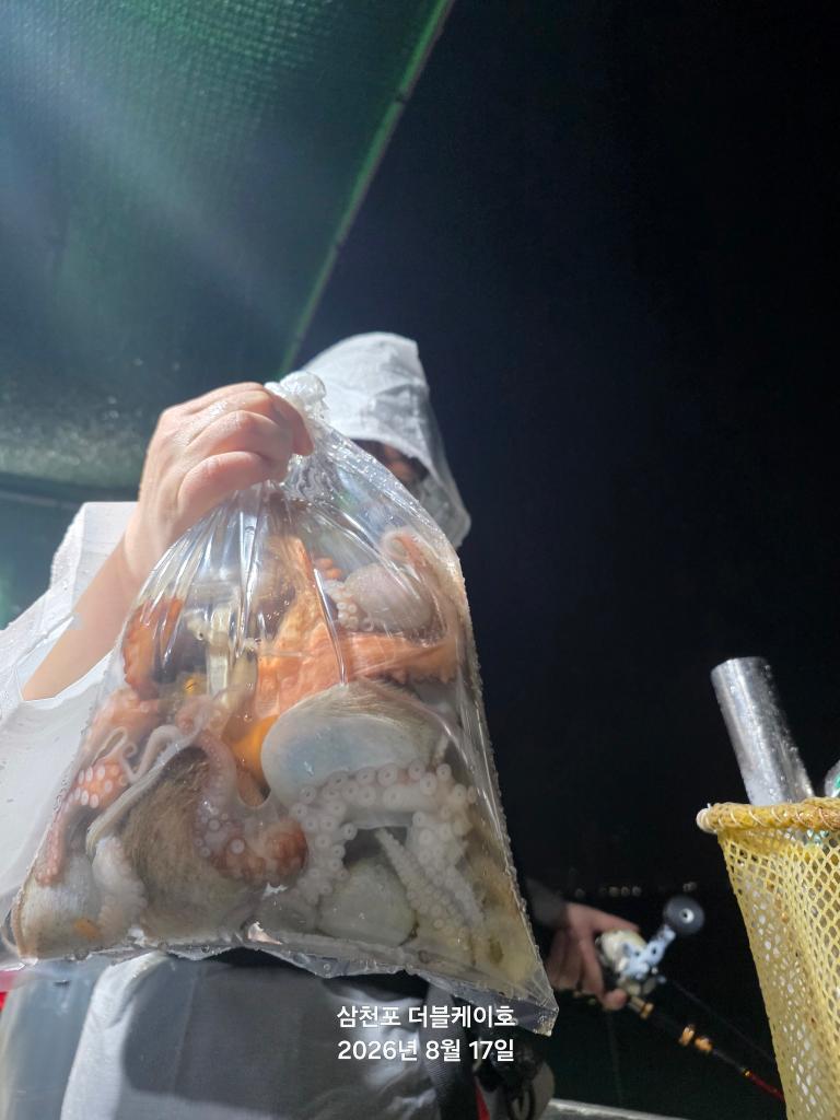 낚시뚜,돌문어,삼천포 팔포항,삼천포 더블케이호,낚시뚜13