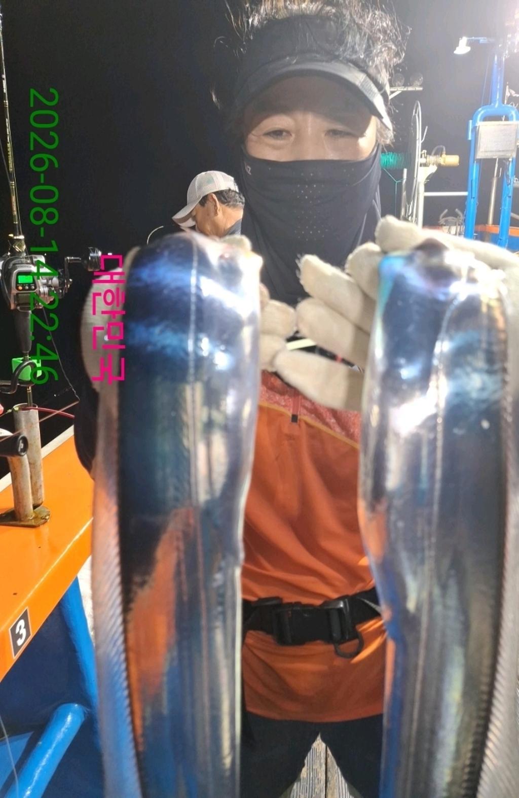 낚시뚜,갈치,삼포항,삼포대교낚시,낚시뚜9