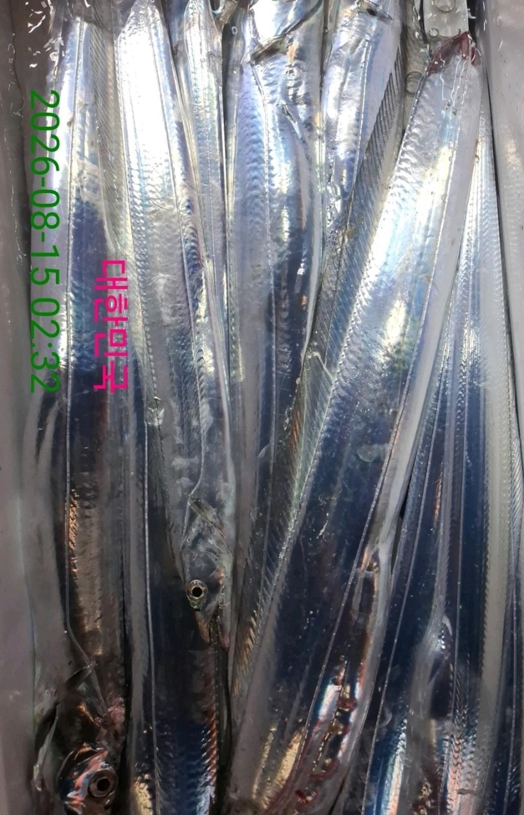 낚시뚜,갈치,삼포항,삼포대교낚시,낚시뚜14