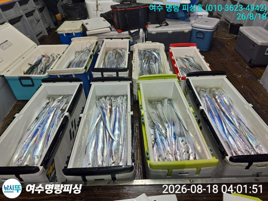 낚시뚜,갈치,국동항,여수명랑피싱,낚시뚜3