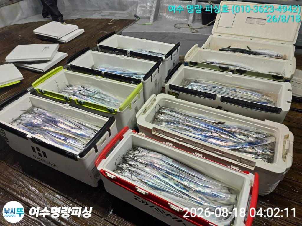 낚시뚜,갈치,국동항,여수명랑피싱,낚시뚜2
