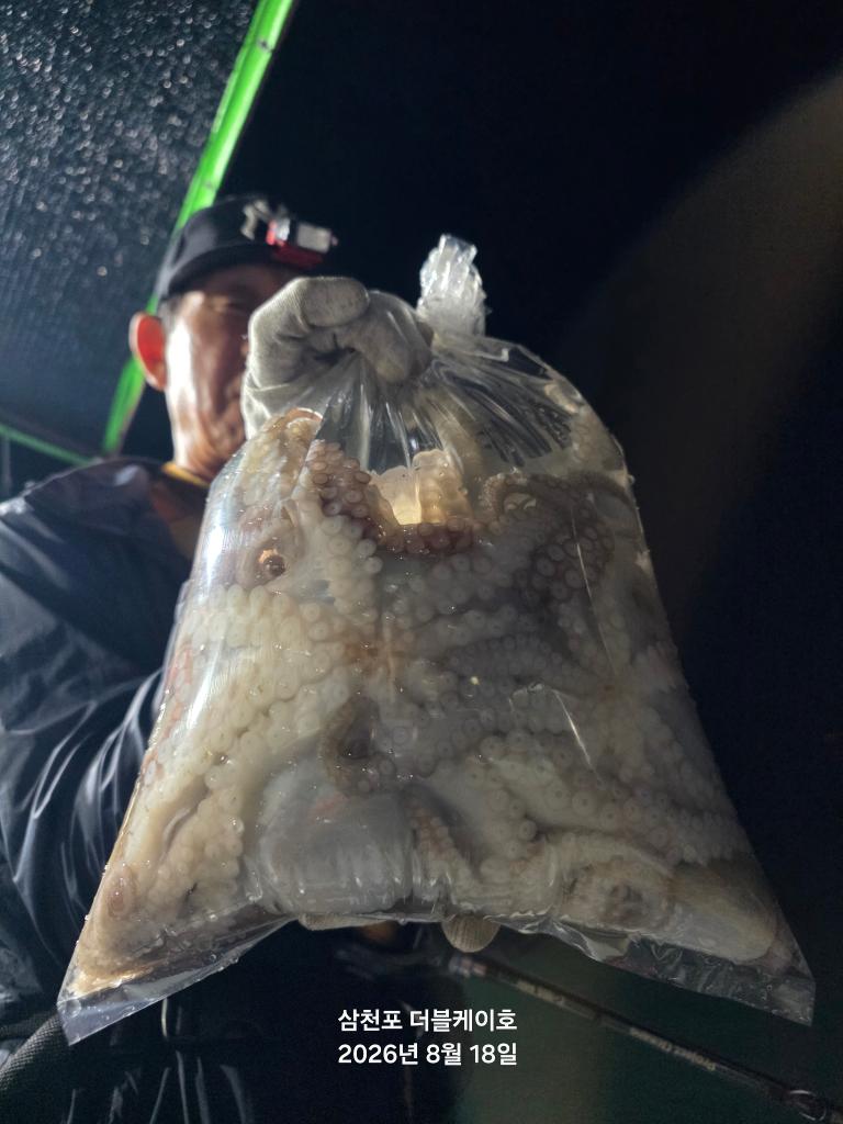 낚시뚜,돌문어,삼천포 팔포항,삼천포 더블케이호,낚시뚜8