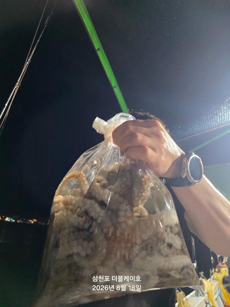 낚시뚜,돌문어,삼천포 팔포항,삼천포 더블케이호,낚시뚜7