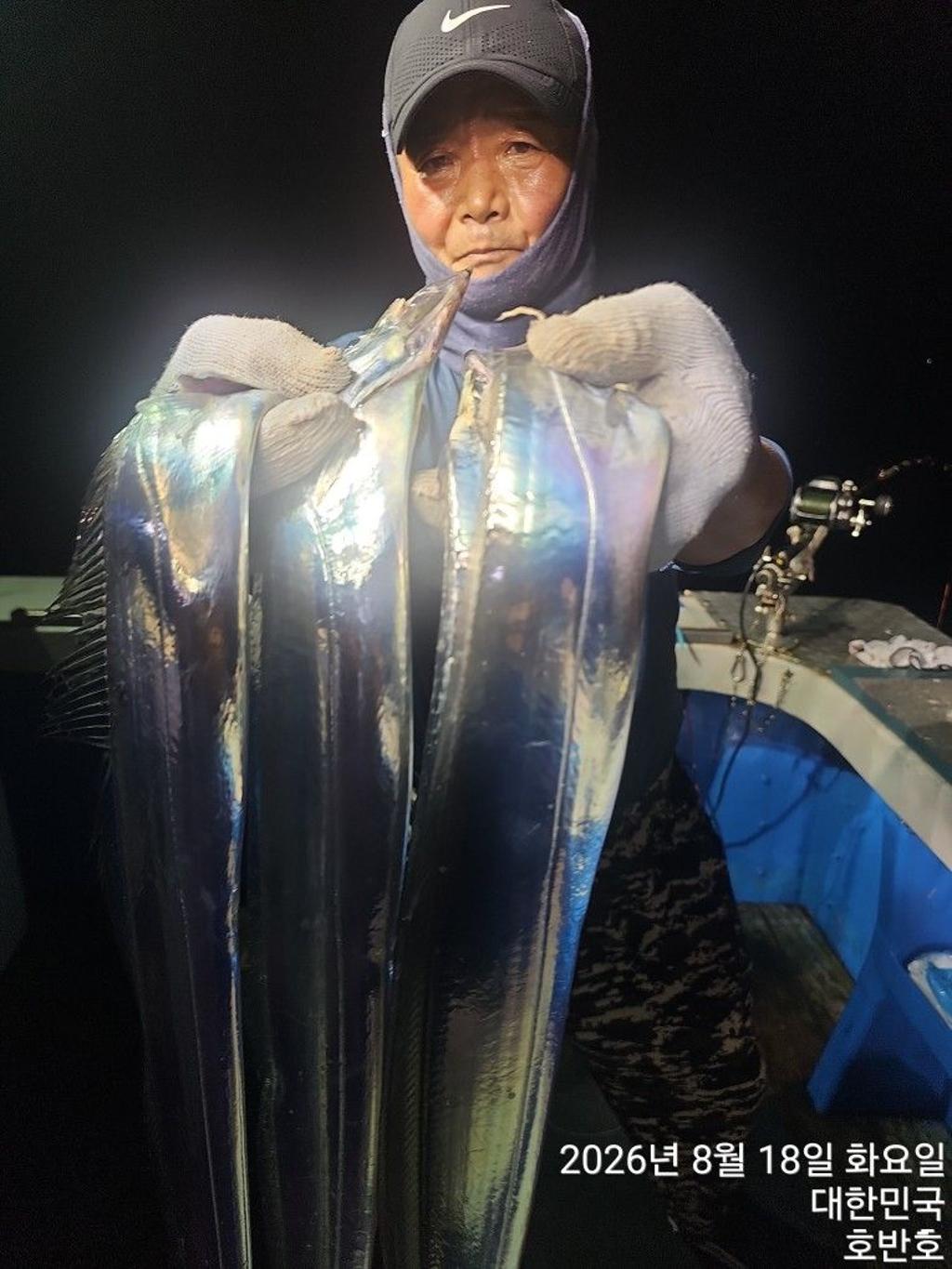 낚시뚜,갈치,통영 신전항,통영호반호,낚시뚜4