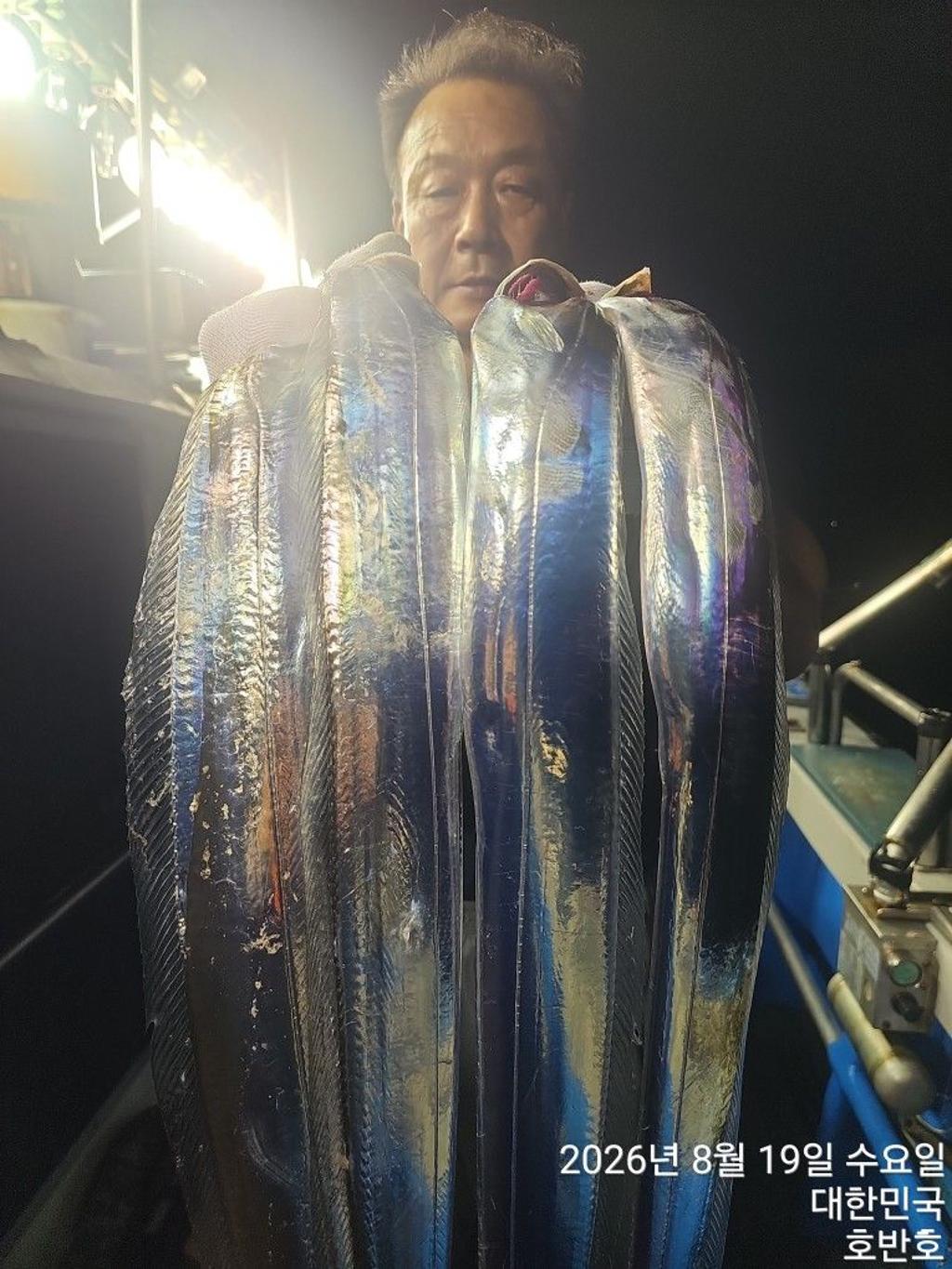낚시뚜,갈치,통영 신전항,통영호반호,낚시뚜2
