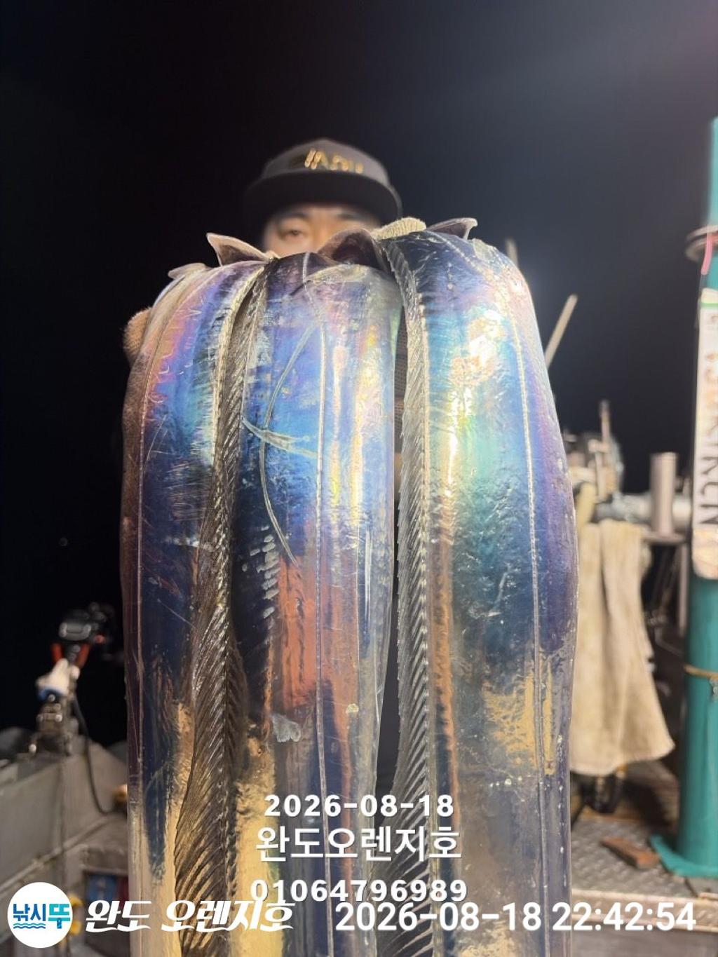 낚시뚜,갈치,완도항,완도 오렌지호,낚시뚜18